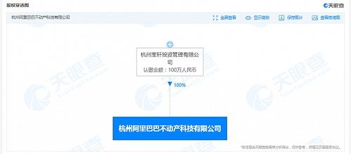 阿里巴巴不動產科技公司成立